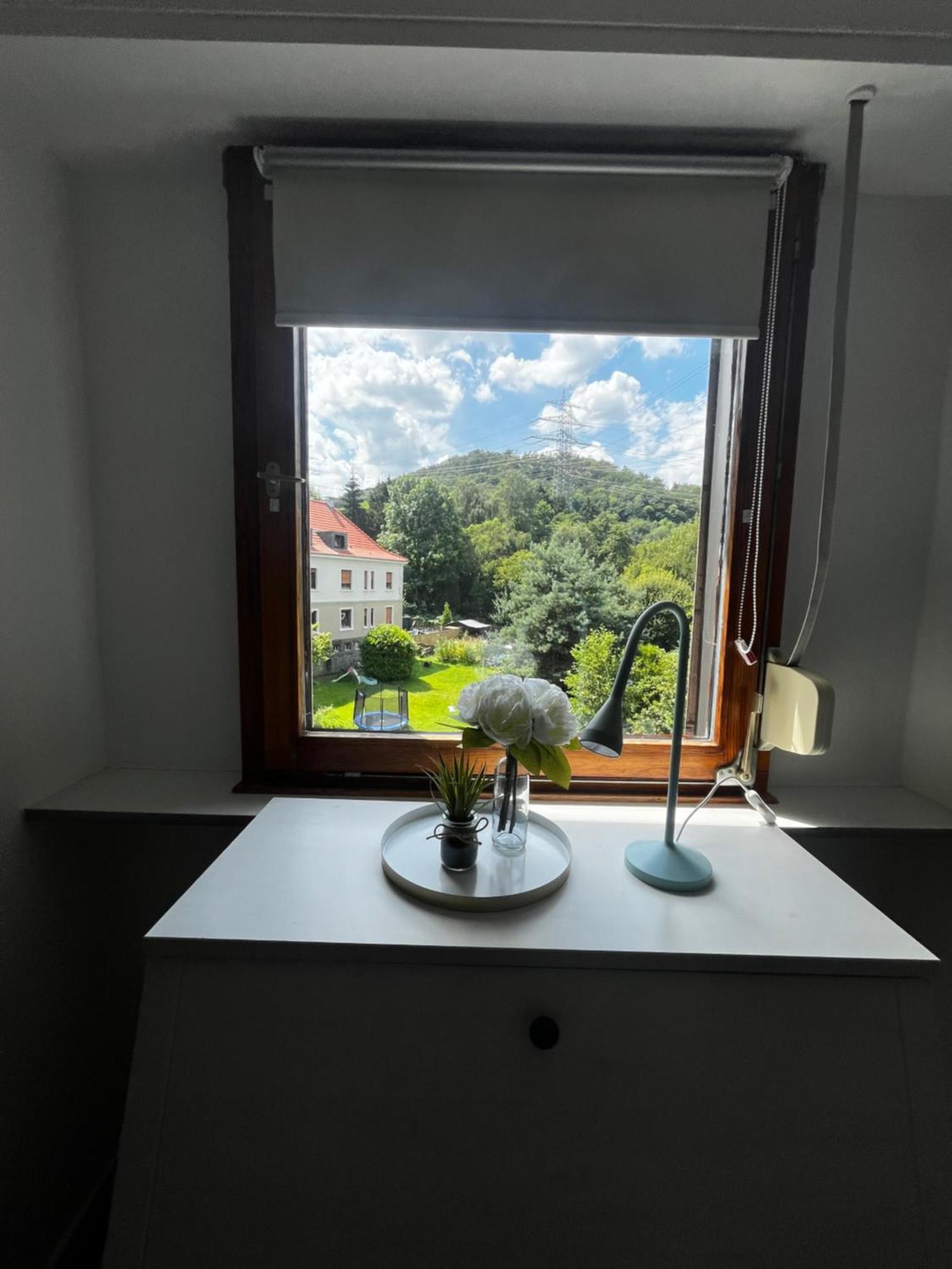 Idyllisch Wohnen An Der Ruhr Apartamento Hattingen Exterior foto