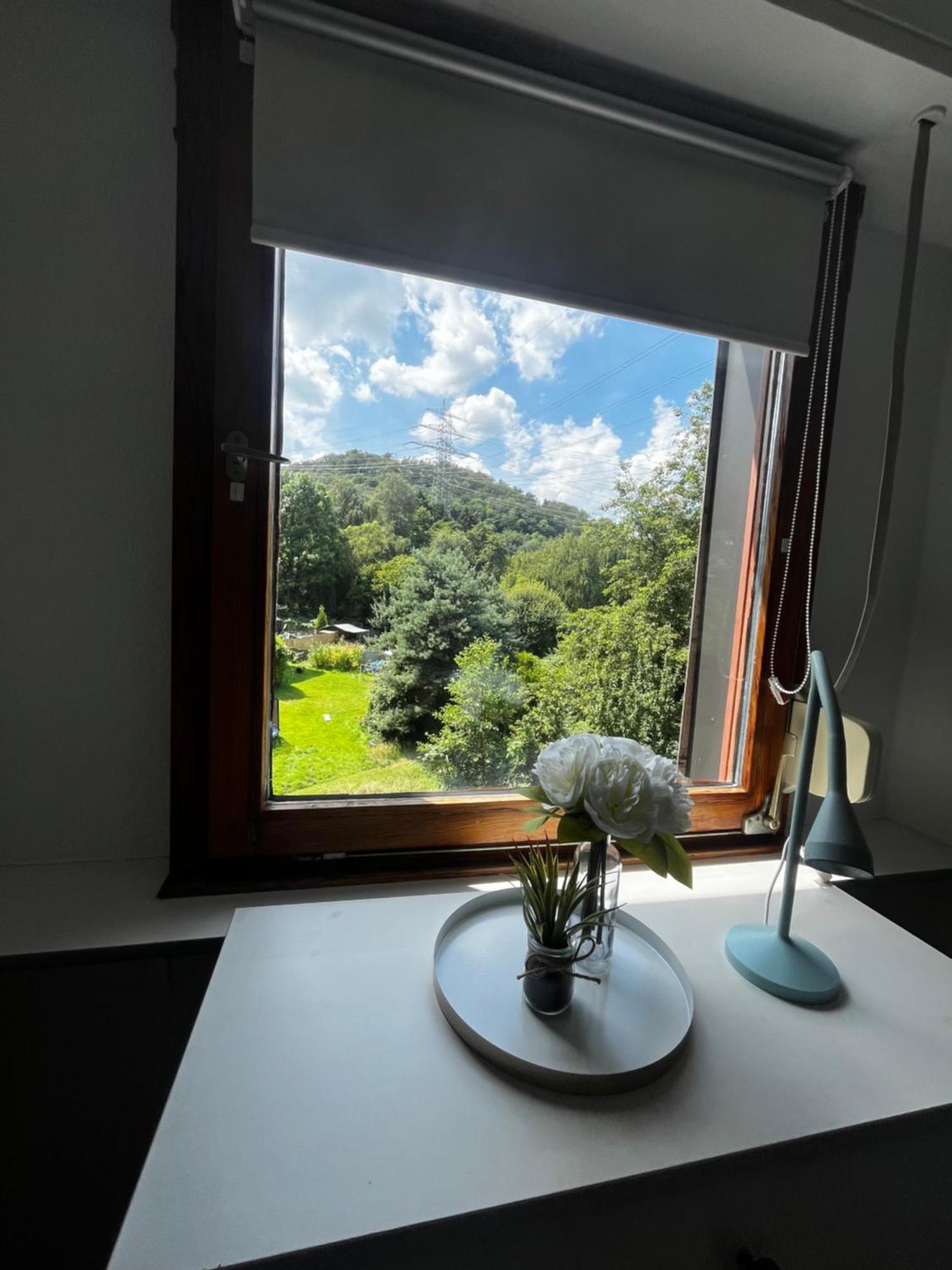 Idyllisch Wohnen An Der Ruhr Apartamento Hattingen Exterior foto